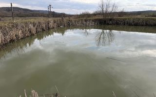 Pescărie cu teren intravilan | Drăgești | Bihor - Poză 2