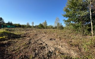 TEREN INTRAVILAN, CAMPULUNG,  2691 MP - Poză 24