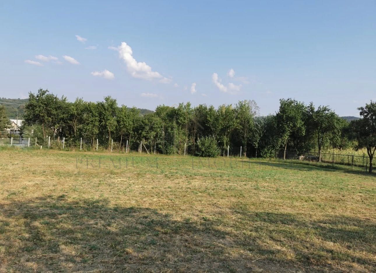 Teren de vanzare - Lupesti, com. Mănăstirea Cașin - Poză 2