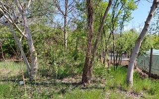 Teren intravilan 3.250 mp în Filești – Ideal pentru casă sau investiție! - Poză 16