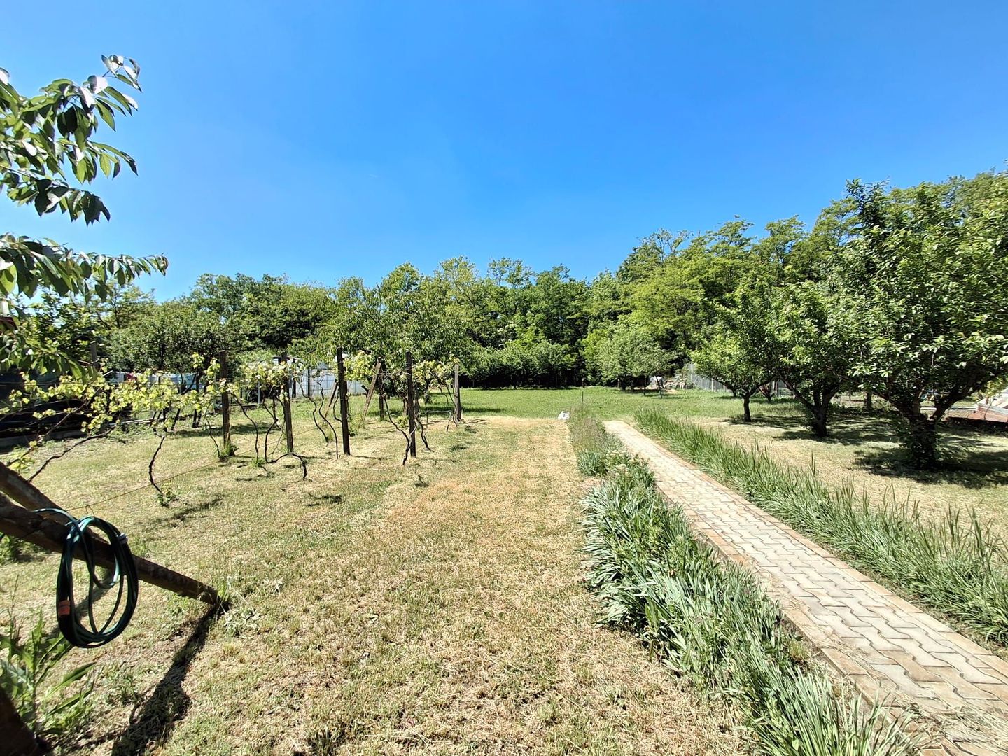 Casa de Vanzare Oras Buftea - Poză 37