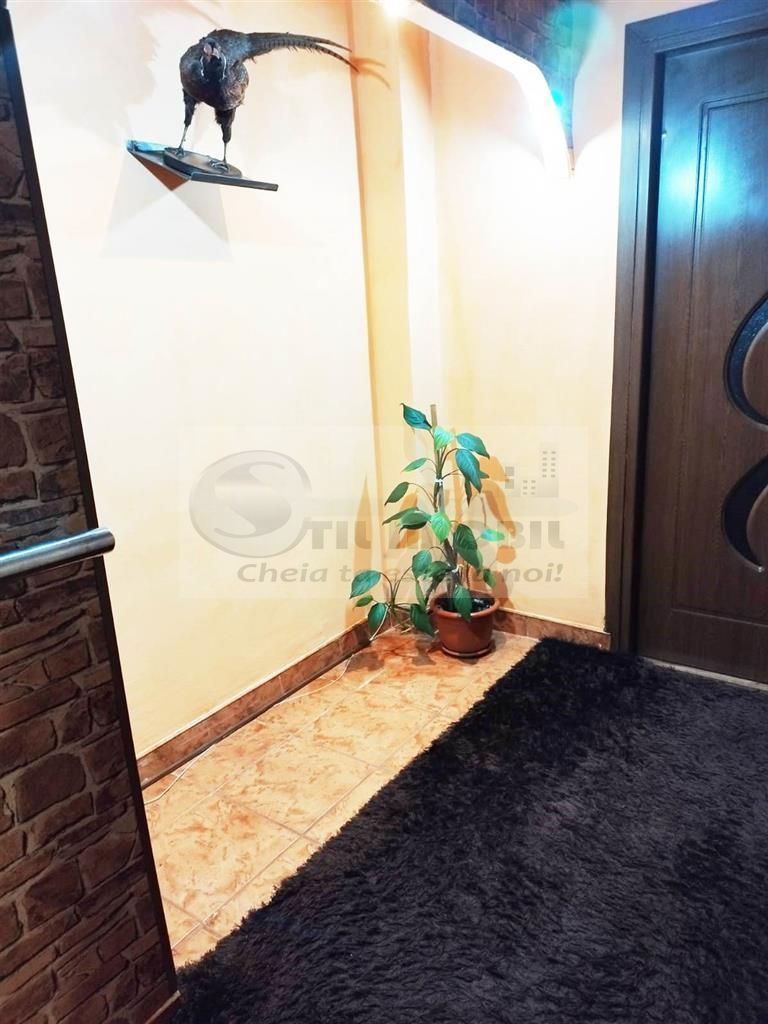 2 CAM PODU ROS PALAS CANTEMIR FARA RISC ETAJ INTERMEDIAR - Poză 10