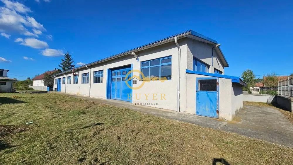 Hala industriala de inchiriat in Talmaciu- 175 utili- pret atractiv - Poză 5