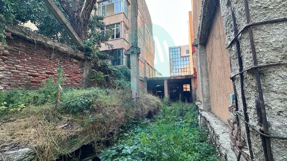 Casă consolidată, ideală pentru locuință sau afaceri – zona Mihai Eminescu - Poză 4