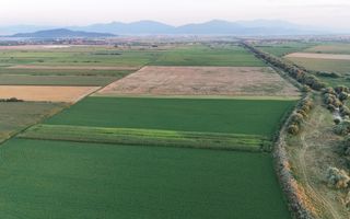 Teren extravilan, 8700 mp, pretabil agricultură sau investiție - Bod - Poză 2