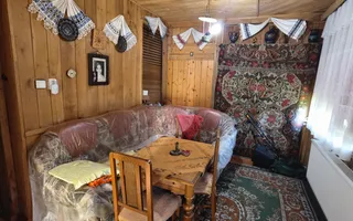 Casa vacanta,investitie  in Gurahont cu teren generos - Poză 15
