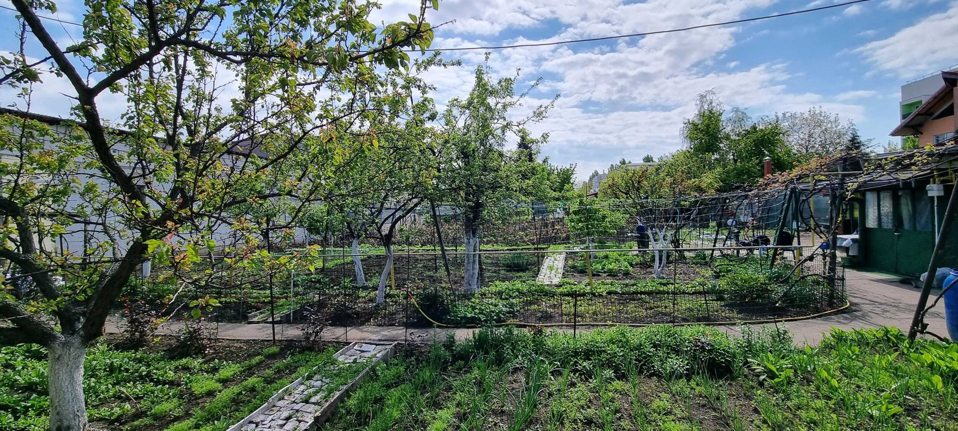 Teren + Casa Demolabila - Poză 2