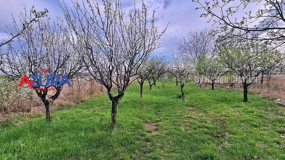 AZURA Imobiliare - Casa Prundu Bananai - Poză 3