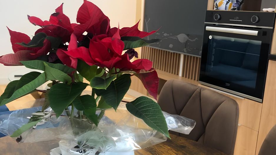 Apartament modern 2 camere  Marmura Residence I Gradina proprie - Poză 17