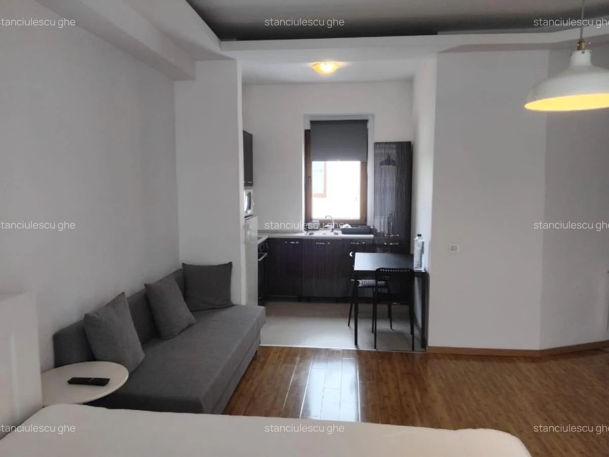 Garsonieră spațioasă de închiriat | Herăstrău - Poză 1