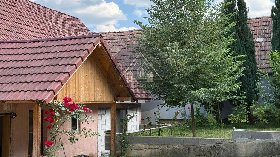 Casa mare în Ațel - Poză 29