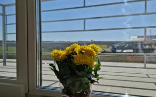 Apartament 2 camere - Poză 3