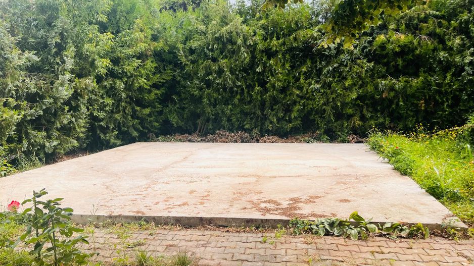 Oaza de liniste si verdeata, aproape de Km 0 -  Brestei, zona Obedeanu - Poză 8