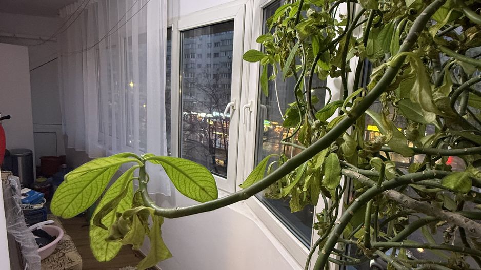 Ap 3 cam 90 mp -cu balcon - et 1- mobilat/utilat-langa Mega Mall - Poză 20