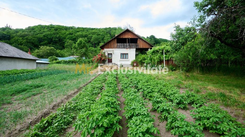 Casa cu teren generos - 4696 mp Apa Sarata - Campulung !! - Poză 4