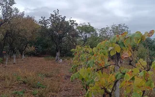 Casă spațioasă cu 4 camere , curte și teren generos în Mașloc - Poză 28