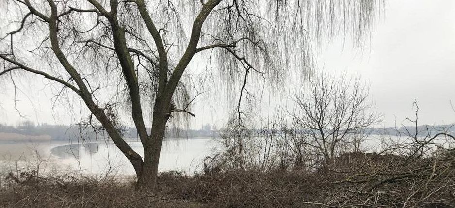 Deschidere la Lac Buftea, teren 1360, D 22m, D+P+1E, toate utilitatile - Poză 3