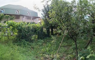 Proprietate trifuncțională Premium – Locuință, Business, Investiție