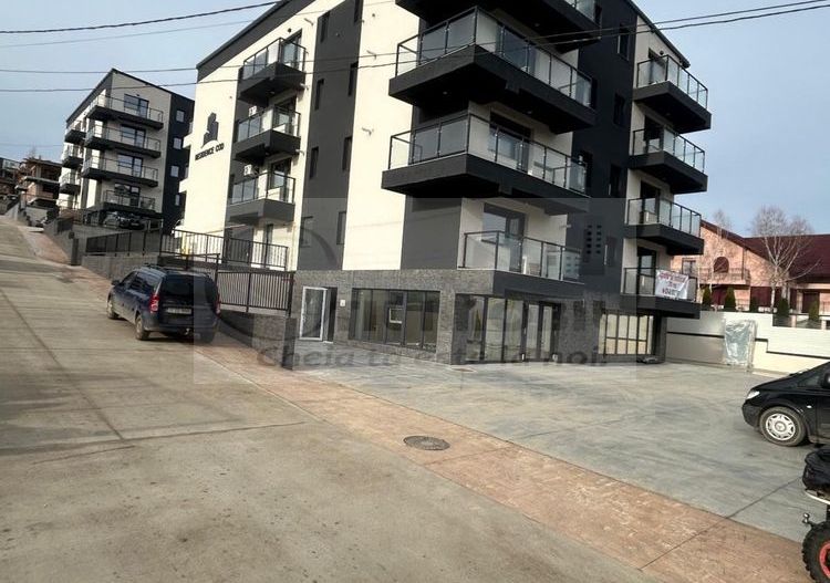 Apartamente Rediu Pacurari !!! Direct Dezvoltator!!! - Poză 2