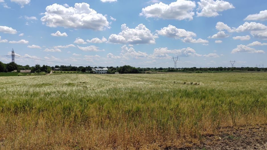 Frumusani Postavari 30 minute de Aparatorii Patriei super oferta 7 eur - Poză 2