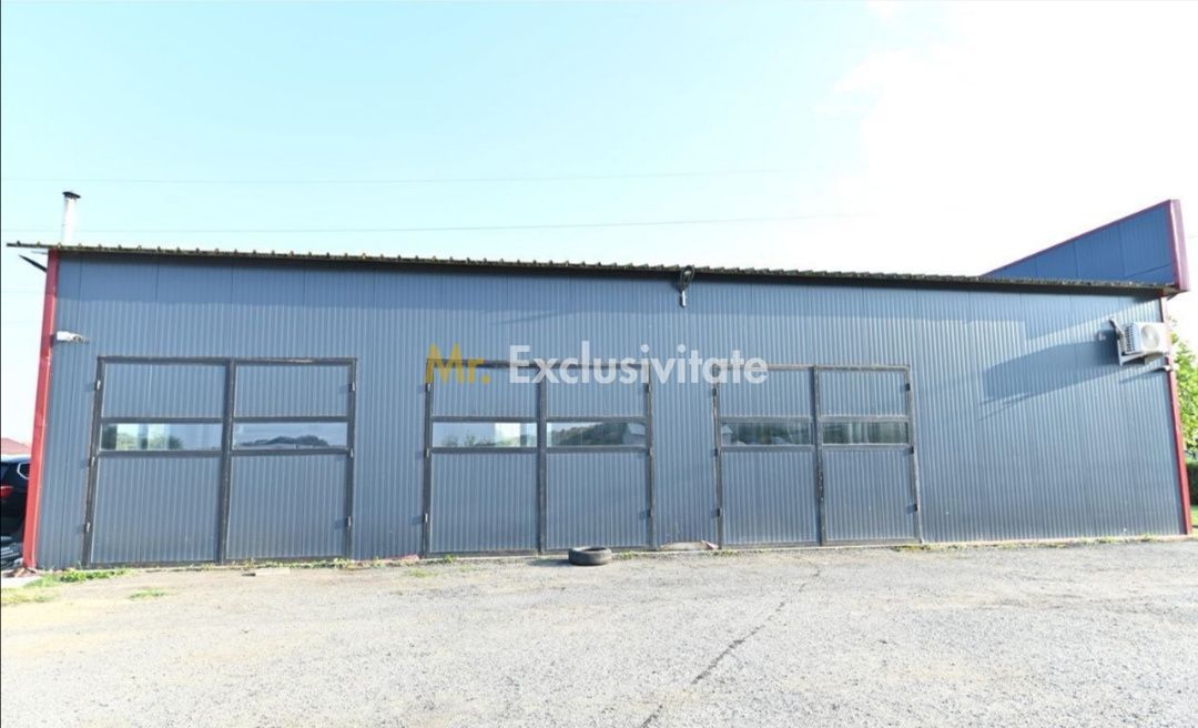 De vanzare proprietate Podari – 2 hale industriale + casa și spatiu recreativ - Poză 14