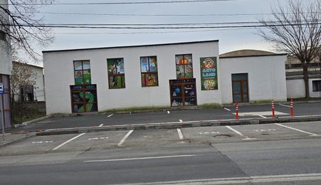 SPATIU COMERCIAL STR. ISACCEI