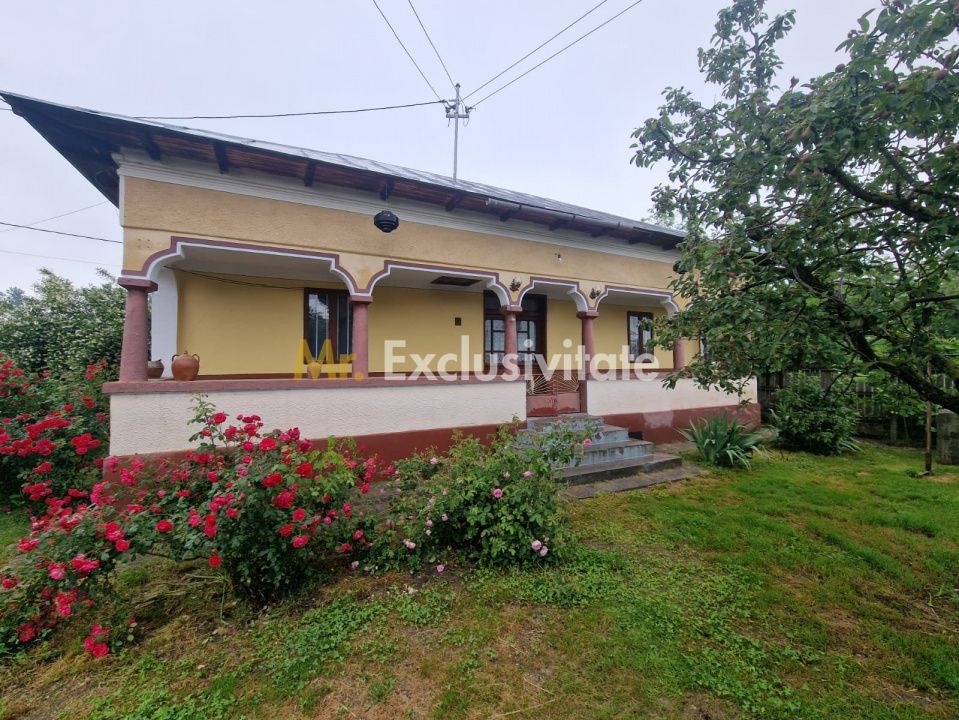 Gospodărie completă și spațioasă -Lunca Corbului- Ciesti! - Poză 3