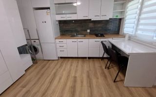 Studio Modern -Copou-Universitate- Cuza/ Medicina - UMF - Poză 9