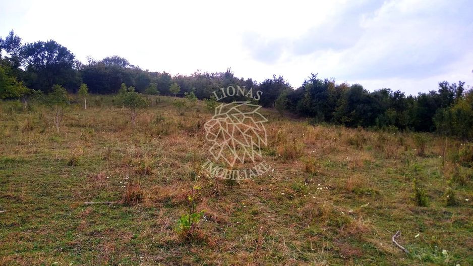 Teren 60 ari - oportunitate investitie - Satu Nou - Poză 1