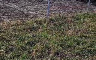 Teren 350 mp I Sura Mare I Certificat de Urbanism I Utilități - Poză 3