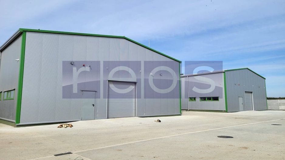 De inchiriat depozit modern in nordul Bucurestiului,  Afumati - Poză 2