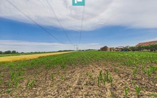 Teren extravilan în suprafață de 10.000 mp, Arad - Poză 1
