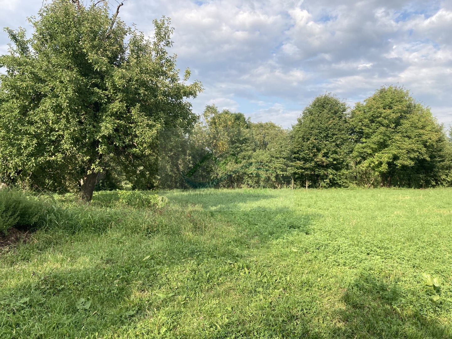 Teren Intravilan 3200 mp de vânzare - Poză 6