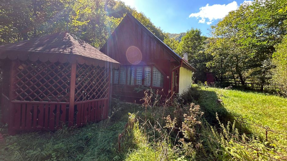 Cabana de vanzare, Valea Manastirii - Ramet - Poză 2