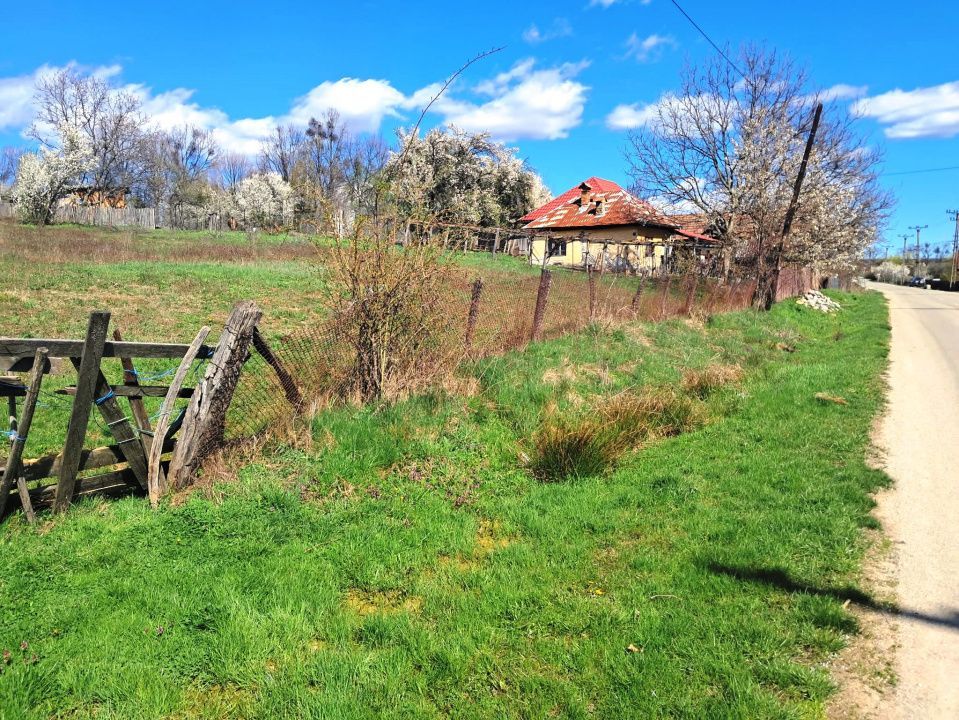 TEREN INTRAVILAN ȘI EXTRAVILAN POLOVRAGI - Poză 10