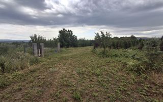 Teren de vânzare în Voinesti, Iași – zonă în dezvoltare, lângă Equester - Poză 4