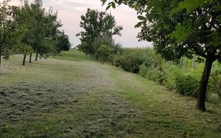 BRASADAS vinde casa individuala in zona Aurel Vlaicu. - Poză 23
