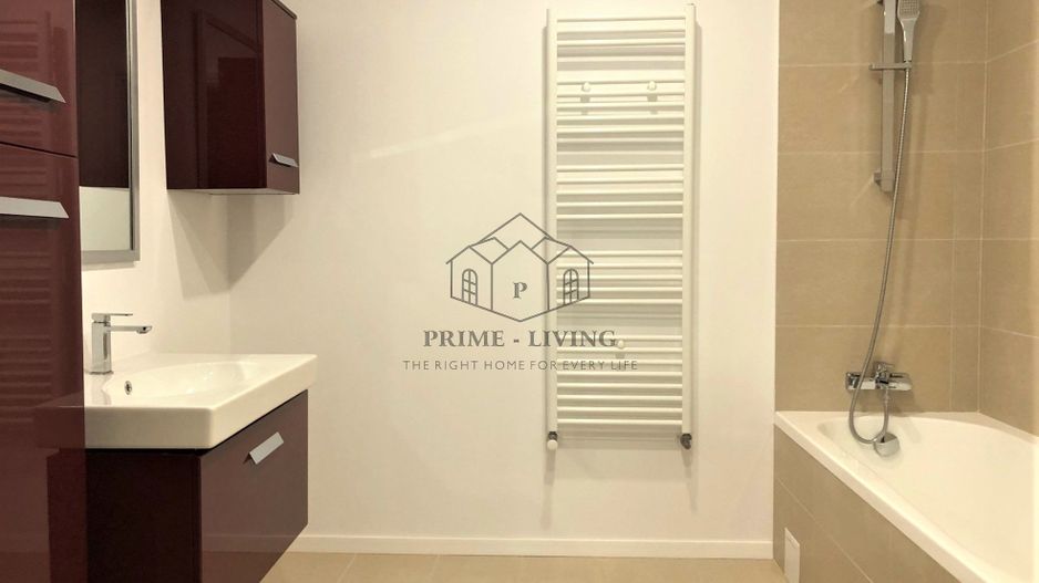 VILA CU 5 CAMERE IN ZONA IANCU NICOLAE - Poză 13