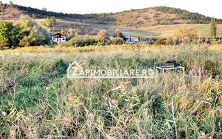 De vanzare 2 terenuri de 29.500 mp si 1.400 mp.29 euro mp - Poză 8