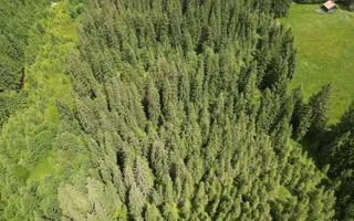 Teren extravilan 5000 MP Comandau - Poză 13