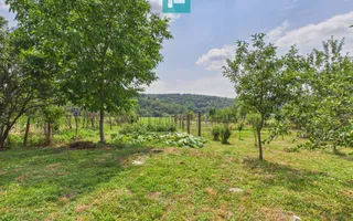 2 case cu teren de 2253 mp în Archiș - Poză 13