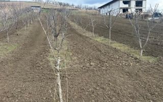 Teren intravilan 1724mp - Poză 1