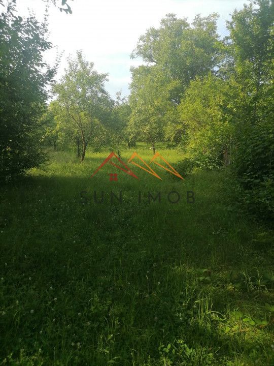 Teren intravilan Municipiul Campina, 1900 mp, investitie - Poză 7