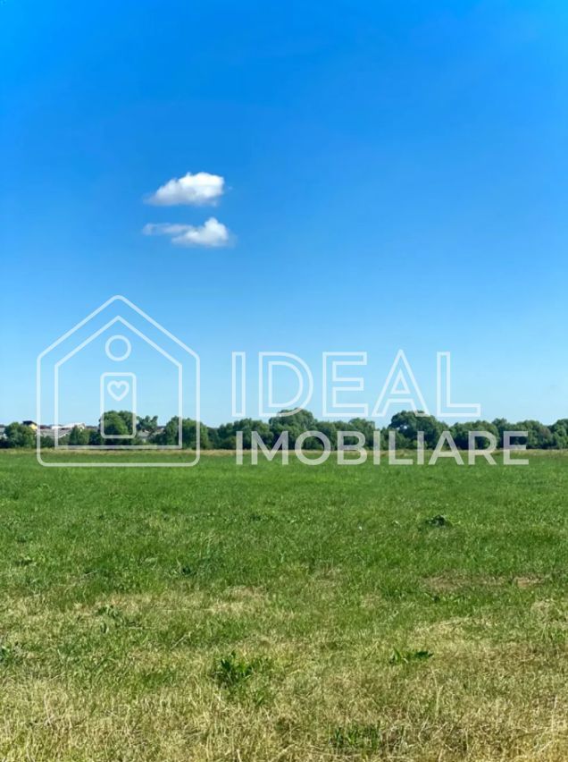 Teren 8.782 mp | 2 parcele alipite | Calea Cisnădiei – zona Seviș - Poză 1