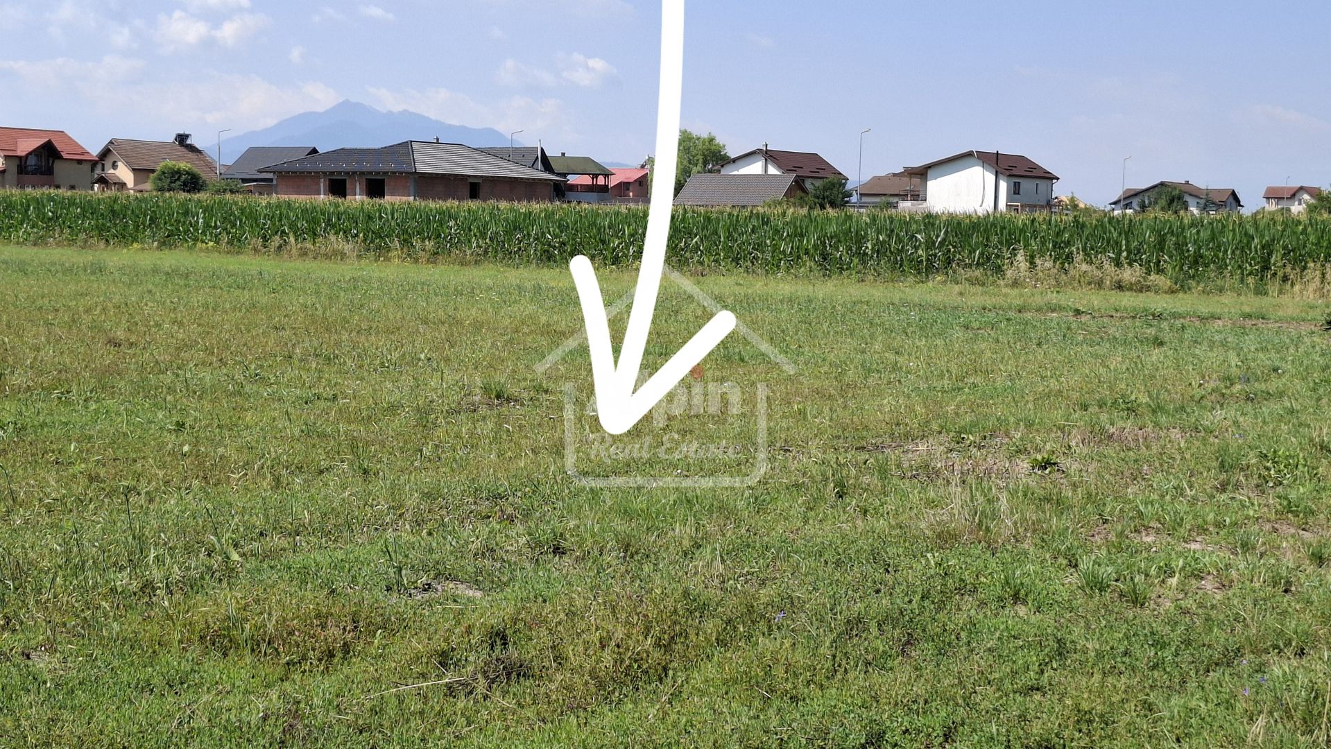 Terenuri Intravilane  Harman - Poză 7