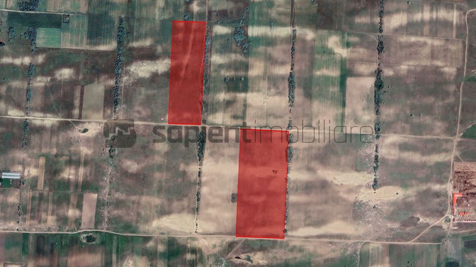 Sapient | Teren agricol _ loc. Desa, jud. Dolj - Poză 1