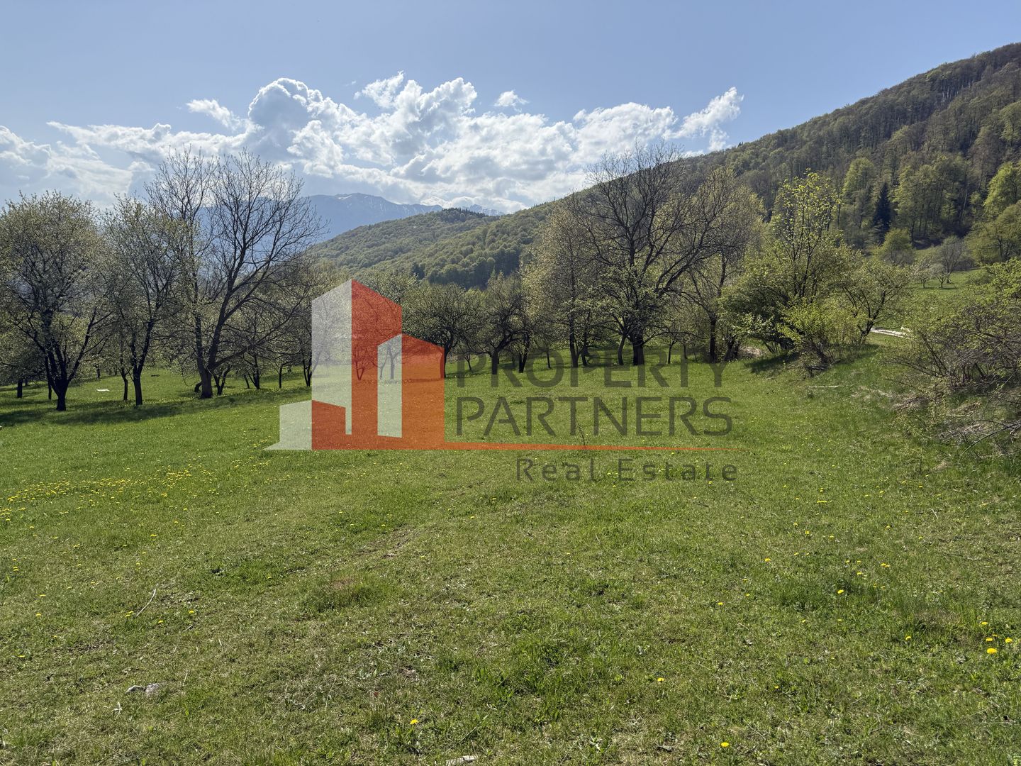 Terenuri Bran - Predelut  Priveliște către Bucegi și Postăvaru - Poză 1