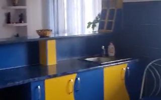 Stefan cel Mare-Lizeanu  | Apartament 2 camere | Bloc 1981 reabilitat - Poză 3