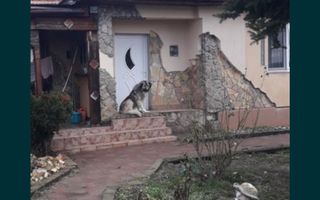 Vand casa Lazuri, Jud.SM - Poză 5