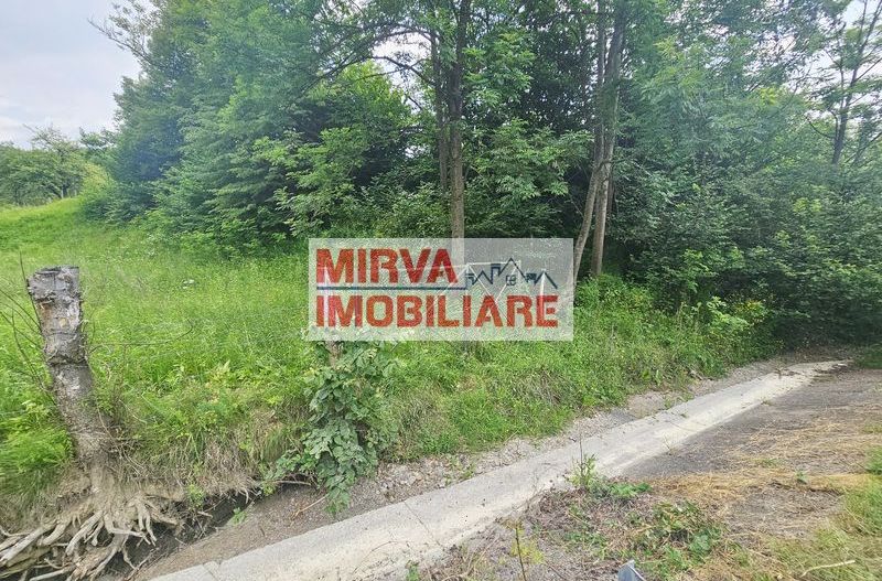 Teren intravilan lângă pădure – 1659 mp,  C.U. P+2E, Vărbilău - Poză 10